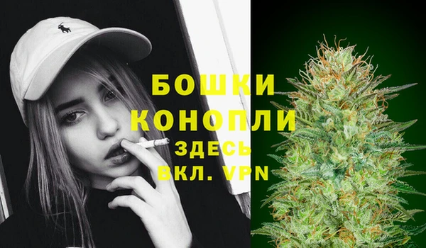 прущие крисы Аркадак