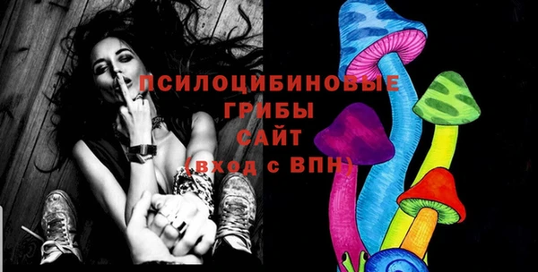 скорость Алзамай