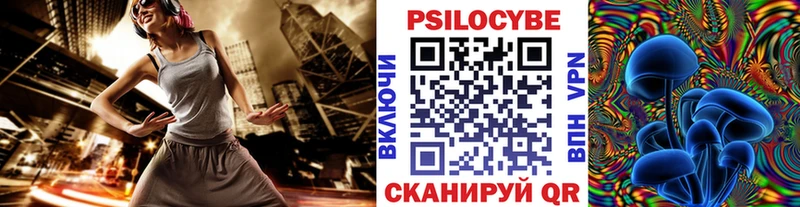 Псилоцибиновые грибы Cubensis  Гуково 